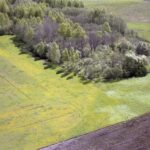 Martiniškėnų piliakalnis