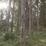 Naudžių kaimo senosios kapinės, vad. Prancūzkapiais