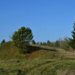 Šaltinis:©infokelme.lt