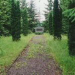 Holokausto aukų vieta Antanašės k., Obelių sen.