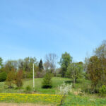 Paspąsčio piliakalnis