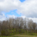 Šilgalio piliakalnis