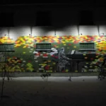 Spalvota muzikos siena