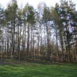 Stasiūnų piliakalnis