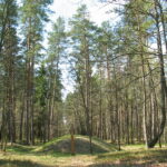 Karmazinų pilkapynas