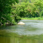 Akmuo Sargelis (Staražok)