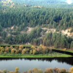 Paneriškių skardis (regykla)