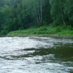 Akmuo „Karvutė“