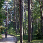 Kairiojo Neries kranto turizmo trasa