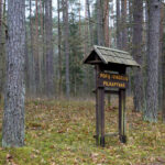 Popų Vingelių pilkapynas