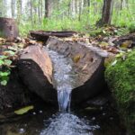 Šilėnų mitologinis šaltinis