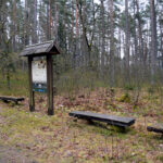 Popų Vingelių pilkapynas