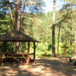 Kairiojo Neries kranto turizmo trasa