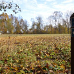 Grabijolų pažintinis takas