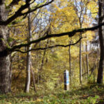 Grabijolų pažintinis takas