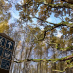 Grabijolų pažintinis takas