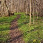 Dūkštos pažintinis takas