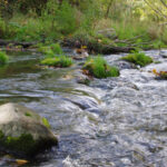 Dūkštos pažintinis takas