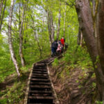 Dūkštos pažintinis takas