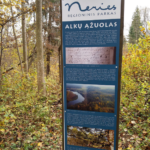 Alkų ąžuolas