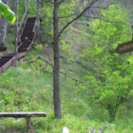 Karmazinų pažintinis takas