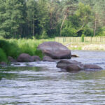 Vandens maršrutas Nerimi