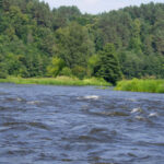 Vandens maršrutas Nerimi