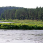 Vandens maršrutas Nerimi