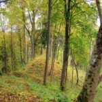 Paalkių piliakalnis