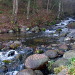 Saidės pažintinis takas