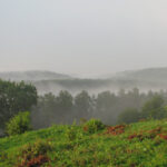 Saidės pažintinis takas