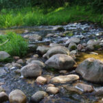 Saidės pažintinis takas