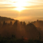 Saidės pažintinis takas