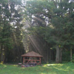 Saidės pažintinis takas