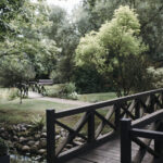 Šaltinis: ©infokelme.lt