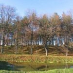 Šaltinis: ©infokelme.lt