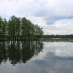 Šaltinis:©infokelme.lt