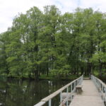 Šaltinis:©infokelme.lt