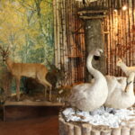 Šaltinis:©infokelme.lt