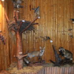 Šaltinis:©infokelme.lt