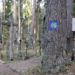 Šaltinis:©infokelme.lt