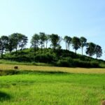 Šaltinis:©infokelme.lt