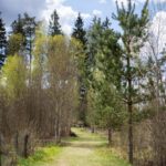 Šaltinis:©infokelme.lt