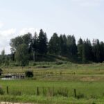 Šaltinis:©infokelme.lt