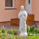 Šv. Pranciškaus seserų kongregacija