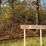 Guogų - Piliuonos piliakalnis