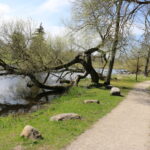 Šaltinis:©infokelme.lt