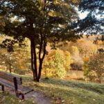 Gargždų miesto parkas