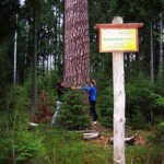 Šaltinis:@kaunorajonas.lt