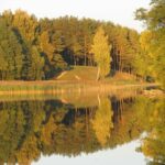 Šaltinis:©infokelme.lt